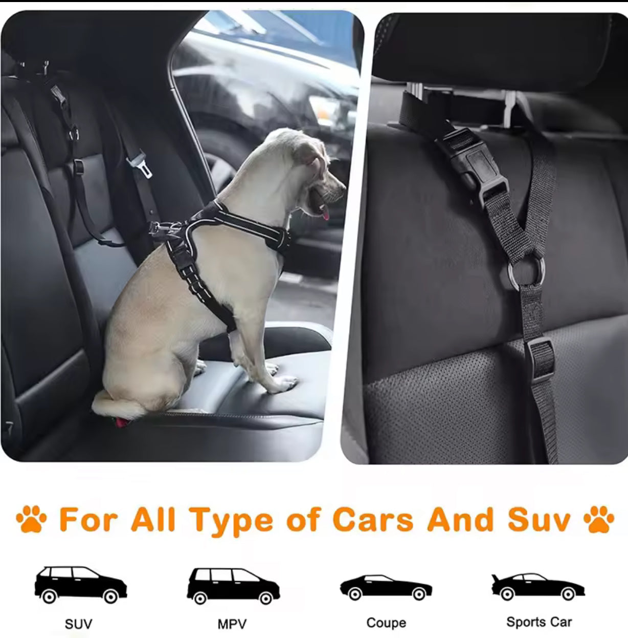 2-in-1 Pet Car Seat Belt Leash for Dogs & Cats – Adjustable Nylon Safety Harness Backseat Restraint Collar