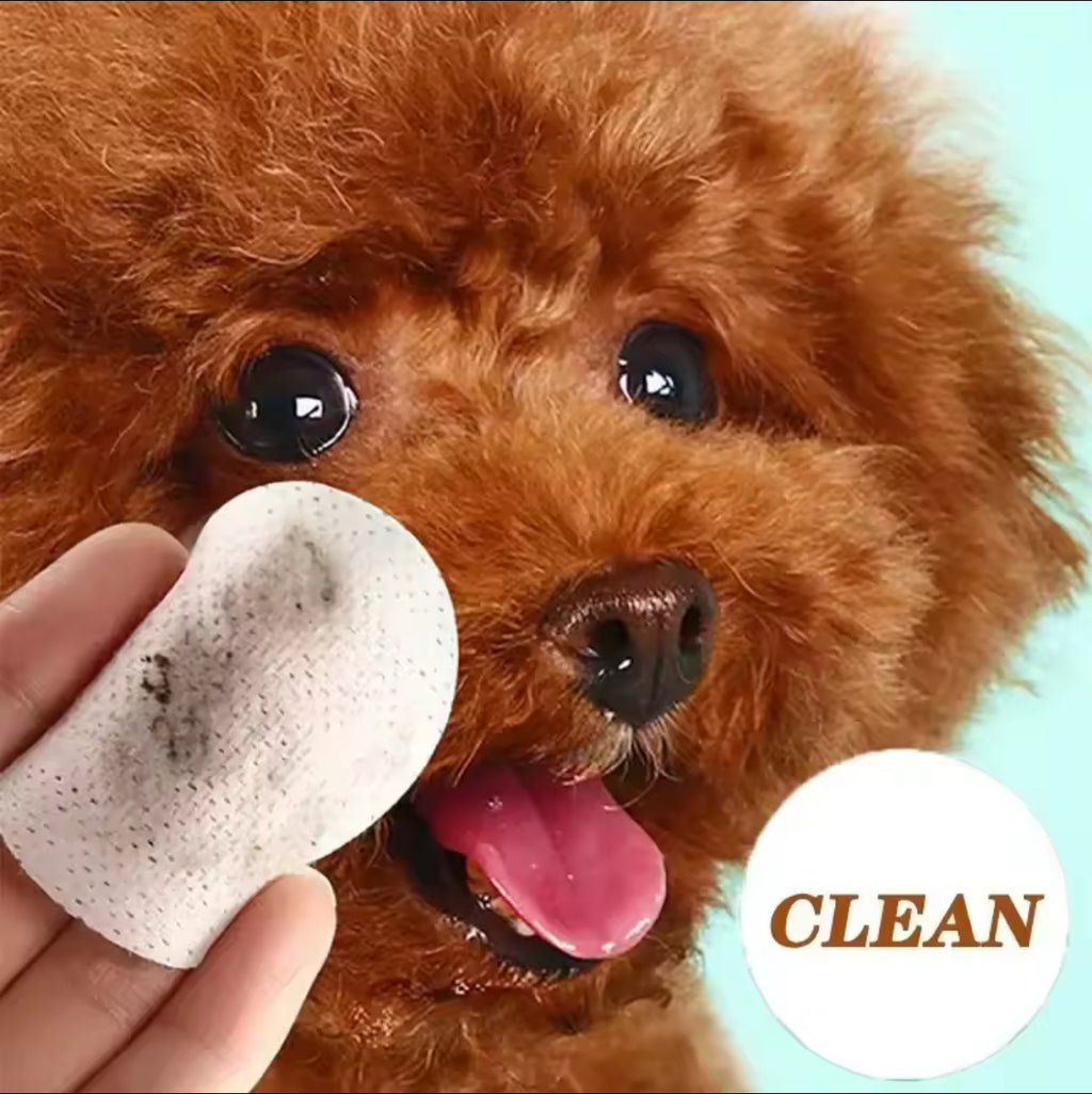 Pet Eye Wipes for Dogs & Cats – Tear Stain Remover Cleaning Wet Tissues 100 Count