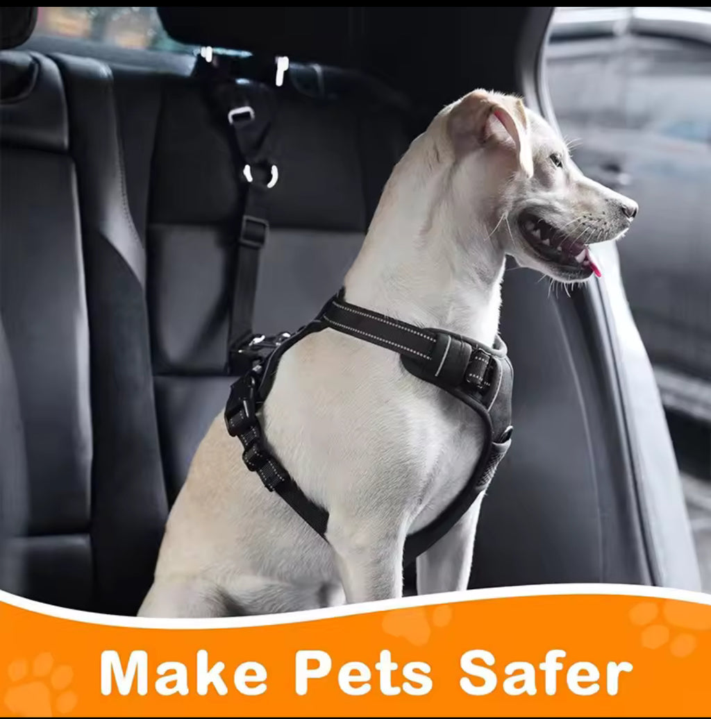 2-in-1 Pet Car Seat Belt Leash for Dogs & Cats – Adjustable Nylon Safety Harness Backseat Restraint Collar